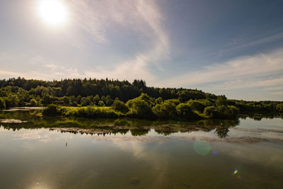 Scenic view of lake by trees against sky