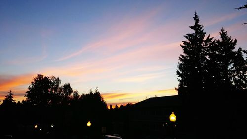 Low angle view of silhouette trees against sky at sunset