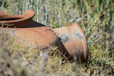 Close-up of old rusty metal on field