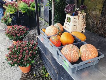 Pumpkins for sale at market stall
