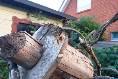 Close-up of wooden log against building