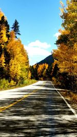 Surface level of road amidst trees against sky