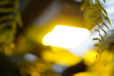 Close-up of yellow lights against sky