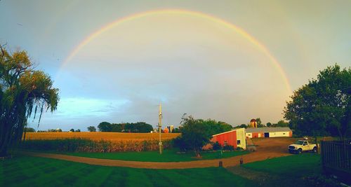 Rainbow over trees on field
