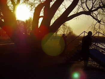 Close-up of silhouette trees against sunset