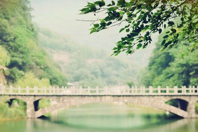 View of bridge over river