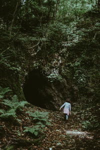 Rear view of woman walking in forest