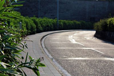 Road by trees in city