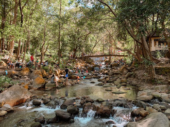 People by river in forest