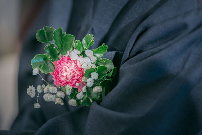 Close-up of person holding pink flowering plant