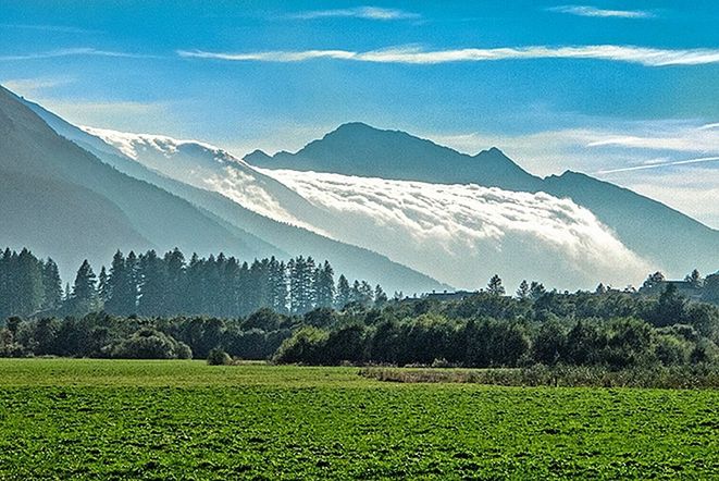 landscape, environment, mountain, scenics - nature, plant, land, beauty in nature, sky, mountain range, nature, grassland, field, plain, tree, tranquility, rural scene, plateau, no people, green, valley, agriculture, cloud, meadow, tranquil scene, growth, crop, outdoors, morning, horizon, day, grass, rural area, natural environment, forest, non-urban scene, pasture, farm, travel destinations, travel, idyllic, winter, social issues, cold temperature