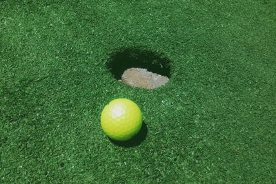 High angle view of green ball on grass