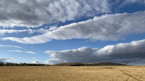 Scenic view of agricultural field against sky