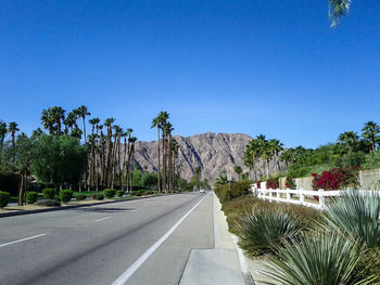 Road amidst trees against clear blue sky