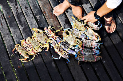 High angle view of hands on table