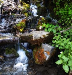Stream flowing through rocks in forest