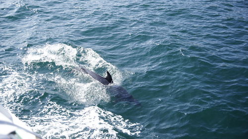 High angle view of sea