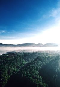 Scenic view of landscape against sky