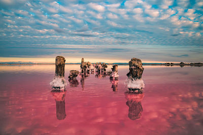 Beautiful pink lake, a place where salt is mined, rose water and blue sky