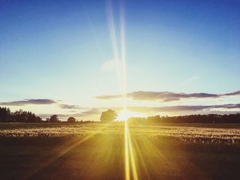 Scenic view of agricultural field against sky during sunset