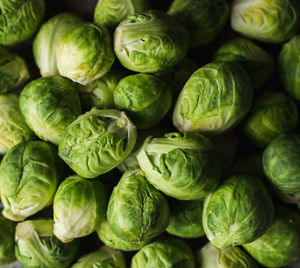 Close up image of a bowl of bright green raw brussels sprouts.