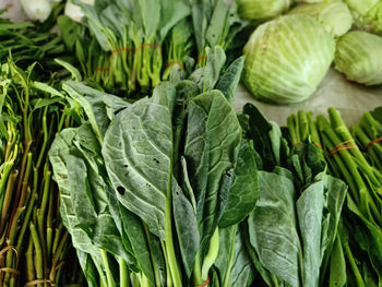 Pile of fresh green vegetables for sale at market stall