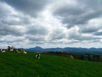 Scenic view of grassy field against cloudy sky