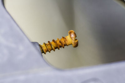 Close up of a rusty screw