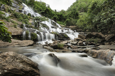 Scenic view of waterfall in forest