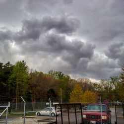 Cloudy sky over trees