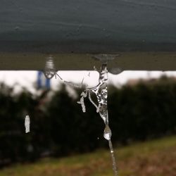 Close-up of spider web against water