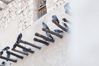 High angle view of text on railing against snow