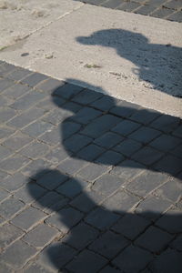 High angle view of paving stone