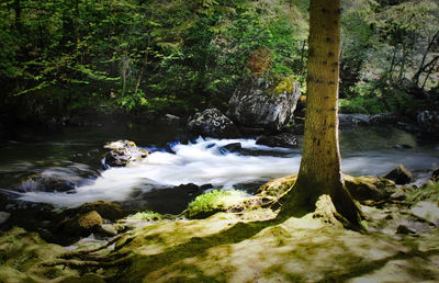 River flowing through rocks