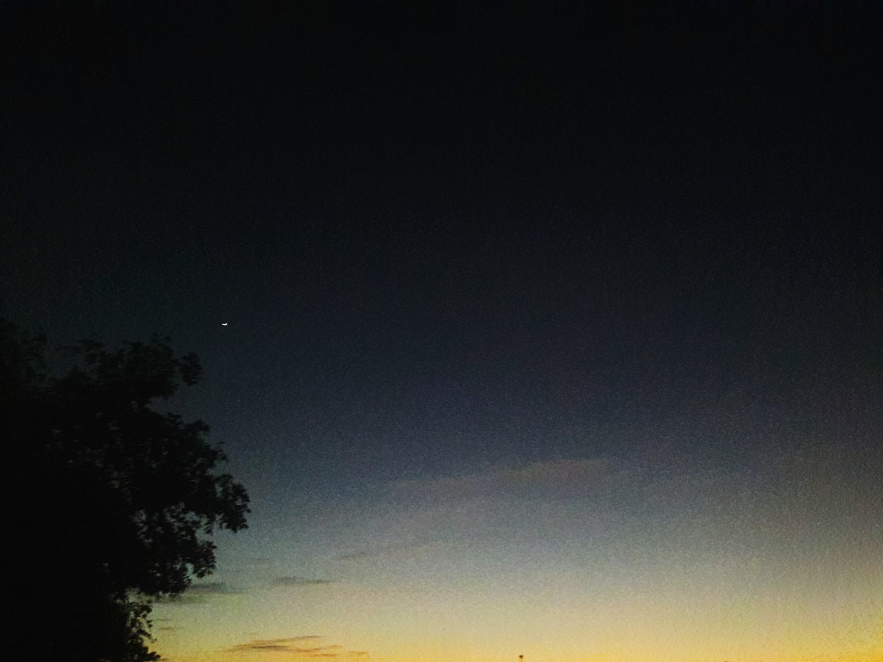 sky, nature, astronomy, star - space, beauty in nature, low angle view, moon, scenics, night, space and astronomy, star field, tree, no people, space, outdoors, tranquility, galaxy, star trail