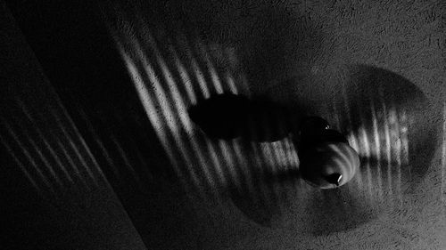 Portrait of woman with shadow on wall at home