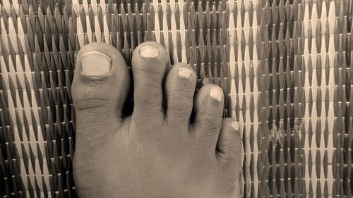 Close-up of hand in cage