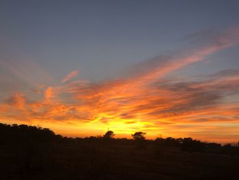 Scenic view of silhouette trees against sky during sunset