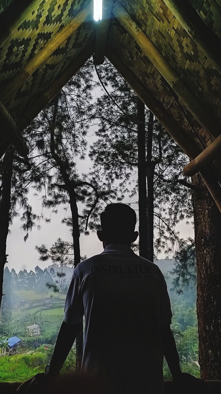 REAR VIEW OF MAN STANDING AMIDST TREES IN FOREST
