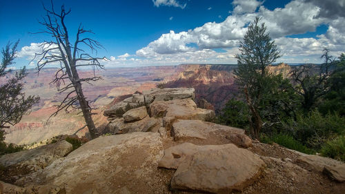 Scenic view of landscape against sky