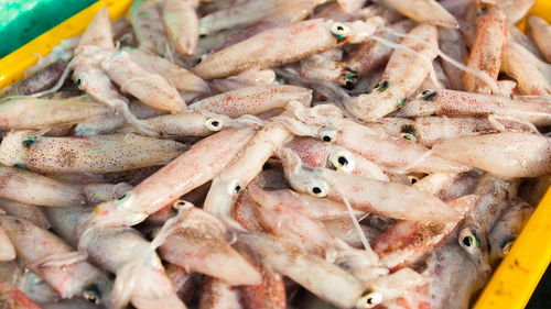 Close-up of fishes in market for sale