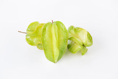 High angle view of leaf against white background