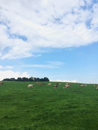 Scenic view of landscape against cloudy sky