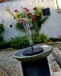 Close-up of water fountain in yard