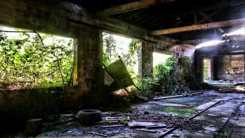 Interior of abandoned building