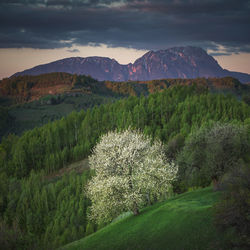 Scenic view of landscape against sky during sunset