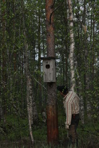 Built structure in forest