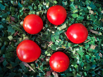 Close-up of red tomatoes
