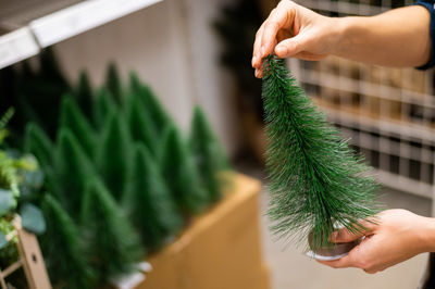 Midsection of woman holding plant