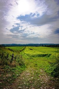 Scenic view of agricultural field against sky